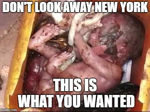 Murdering babies. So progressive. | DON'T LOOK AWAY NEW YORK; THIS IS WHAT YOU WANTED | image tagged in new york,abortion | made w/ Imgflip meme maker