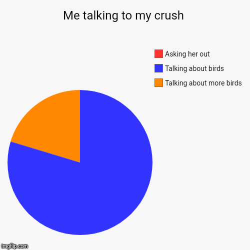 Me talking to my crush | Talking about more birds, Talking about birds, Asking her out | image tagged in funny,pie charts | made w/ Imgflip chart maker