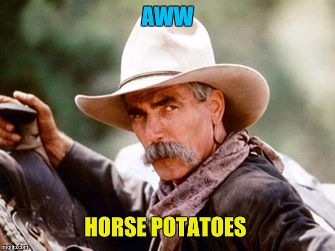 Sam Elliott Cowboy | AWW HORSE POTATOES | image tagged in sam elliott cowboy | made w/ Imgflip meme maker