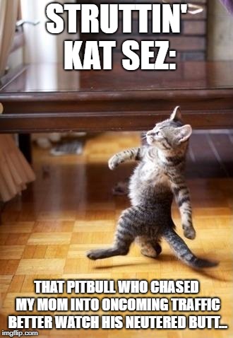 Struttin' Kat: Parental Revenge | STRUTTIN' KAT SEZ:; THAT PITBULL WHO CHASED MY MOM INTO ONCOMING TRAFFIC BETTER WATCH HIS NEUTERED BUTT... | image tagged in memes,cool cat stroll | made w/ Imgflip meme maker
