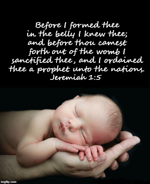 abortion | Before I formed thee in the belly I knew thee; and before thou camest forth out of the womb I sanctified thee, and I ordained thee a prophet unto the nations. Jeremiah 1:5 | image tagged in baby | made w/ Imgflip meme maker