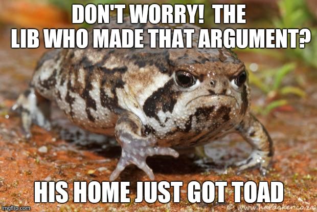 Grumpy Toad Meme | DON'T WORRY!  THE LIB WHO MADE THAT ARGUMENT? HIS HOME JUST GOT TOAD | image tagged in memes,grumpy toad | made w/ Imgflip meme maker