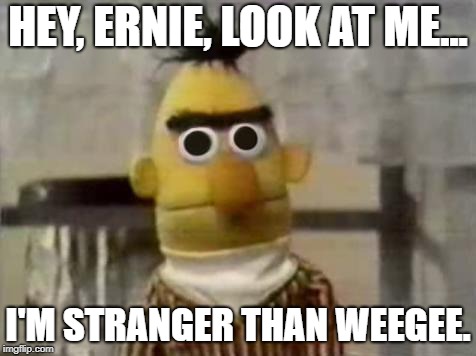 Bert Stare | HEY, ERNIE, LOOK AT ME... I'M STRANGER THAN WEEGEE. | image tagged in bert stare | made w/ Imgflip meme maker