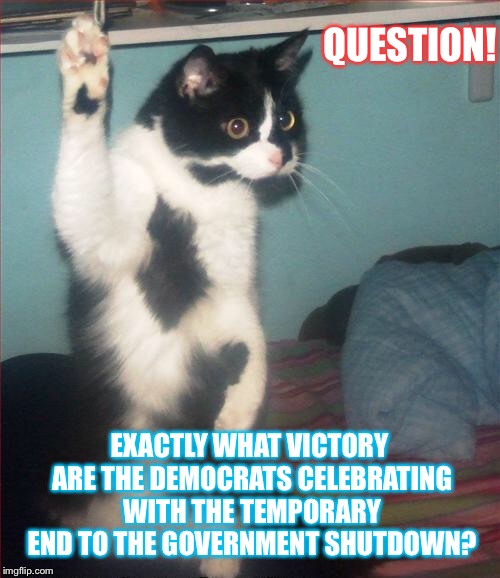 Let's get the liberal logic on this one... | QUESTION! EXACTLY WHAT VICTORY ARE THE DEMOCRATS CELEBRATING WITH THE TEMPORARY END TO THE GOVERNMENT SHUTDOWN? | image tagged in question cat,political meme,government shutdown,maga | made w/ Imgflip meme maker