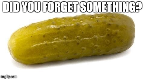 Pickle | DID YOU FORGET SOMETHING? | image tagged in pickle | made w/ Imgflip meme maker