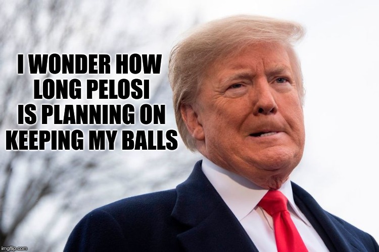 Ouch | I WONDER HOW LONG PELOSI IS PLANNING ON KEEPING MY BALLS | image tagged in trump,pelosi,shutdown | made w/ Imgflip meme maker