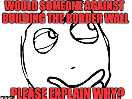 Why Don’t You Want The Wall? | image tagged in wall,border,illegal,alien,immigration | made w/ Imgflip meme maker
