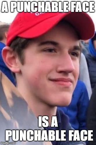 A PUNCHABLE FACE; IS A PUNCHABLE FACE | made w/ Imgflip meme maker