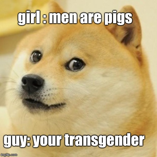 Doge Meme | girl : men are pigs; guy: your transgender | image tagged in memes,doge | made w/ Imgflip meme maker
