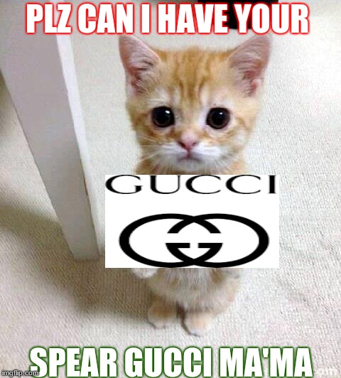 Cute Cat | PLZ CAN I HAVE YOUR; SPEAR GUCCI MA'MA | image tagged in memes,cute cat | made w/ Imgflip meme maker