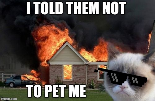 Burn Kitty | I TOLD THEM NOT; TO PET ME | image tagged in memes,burn kitty,grumpy cat | made w/ Imgflip meme maker