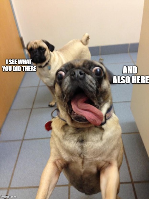 pug love | I SEE WHAT YOU DID THERE AND ALSO HERE | image tagged in pug love | made w/ Imgflip meme maker