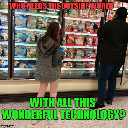 I see this more and more. Lazy parents who don't want to enforce healthy limits, and spoiled kids with zero social skills.  | WHO NEEDS THE OUTSIDE WORLD; WITH ALL THIS WONDERFUL TECHNOLOGY? | image tagged in zombies,nixieknox,memes | made w/ Imgflip meme maker