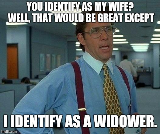 That Would Be Great Meme | YOU IDENTIFY AS MY WIFE? WELL, THAT WOULD BE GREAT EXCEPT; I IDENTIFY AS A WIDOWER. | image tagged in memes,that would be great | made w/ Imgflip meme maker