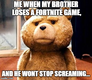 TED Meme | ME WHEN MY BROTHER LOSES A FORTNITE GAME, AND HE WONT STOP SCREAMING... | image tagged in memes,ted | made w/ Imgflip meme maker