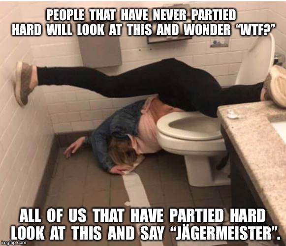 PEOPLE  THAT  HAVE  NEVER  PARTIED  HARD  WILL  LOOK  AT  THIS  AND  WONDER  “WTF?”; ALL  OF  US  THAT  HAVE  PARTIED  HARD  LOOK  AT  THIS  AND  SAY  “JÄGERMEISTER”. | image tagged in jgermeister,party hard,wtf | made w/ Imgflip meme maker