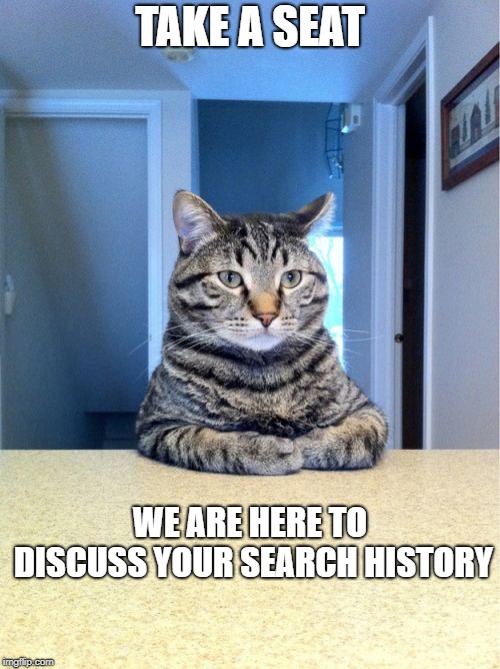 Take A Seat Cat | TAKE A SEAT; WE ARE HERE TO DISCUSS YOUR SEARCH HISTORY | image tagged in memes,take a seat cat | made w/ Imgflip meme maker