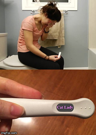 Unexpected Results | Cat Lady | image tagged in unexpected results,at-home test,unhappy news,humor | made w/ Imgflip meme maker