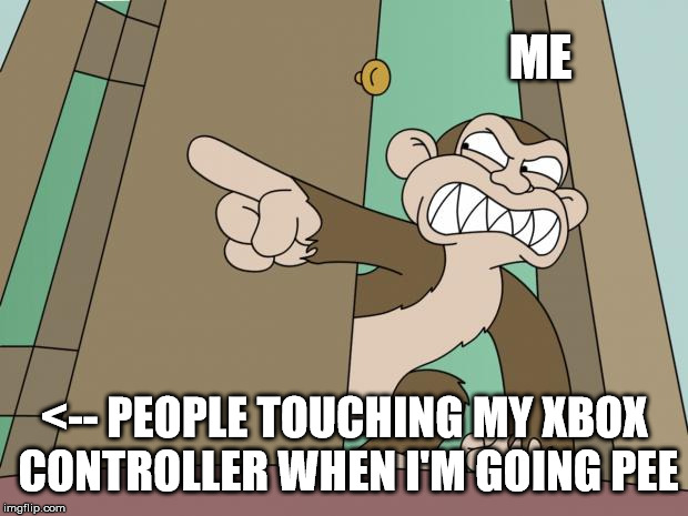 bathrooms and gaming | ME; <-- PEOPLE TOUCHING MY XBOX CONTROLLER WHEN I'M GOING PEE | image tagged in your stupid | made w/ Imgflip meme maker