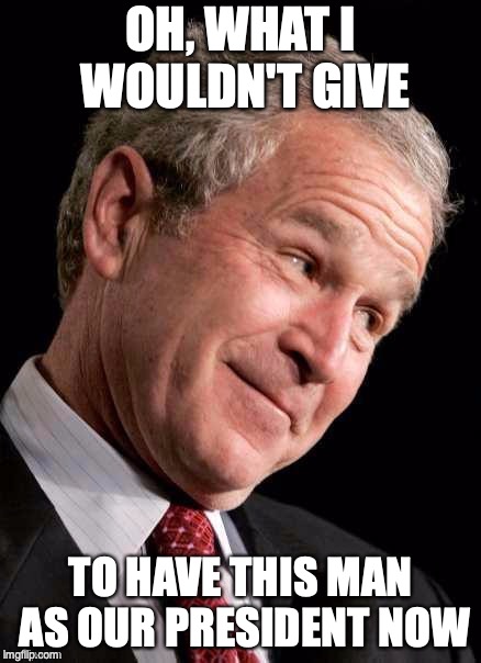 Most on the left feel this way | OH, WHAT I WOULDN'T GIVE; TO HAVE THIS MAN AS OUR PRESIDENT NOW | image tagged in george w bush blame | made w/ Imgflip meme maker