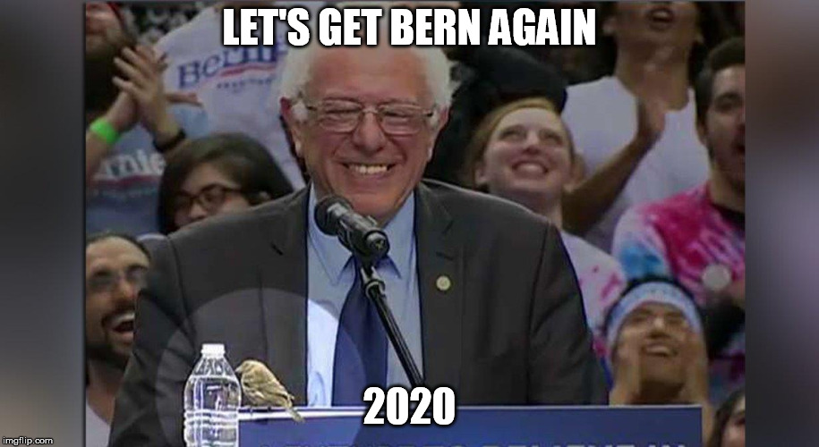 LET'S GET BERN AGAIN; 2020 | image tagged in bernie sanders | made w/ Imgflip meme maker