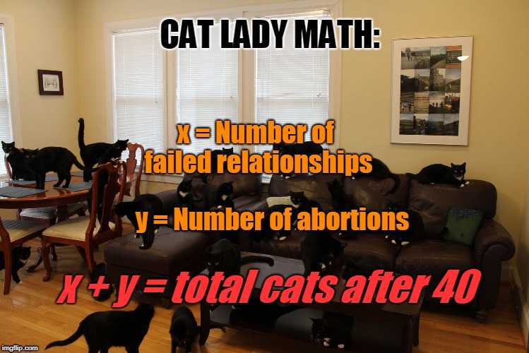 CAT LADY MATH:; x = Number of failed relationships; y = Number of abortions; x + y = total cats after 40 | image tagged in house of many cats | made w/ Imgflip meme maker