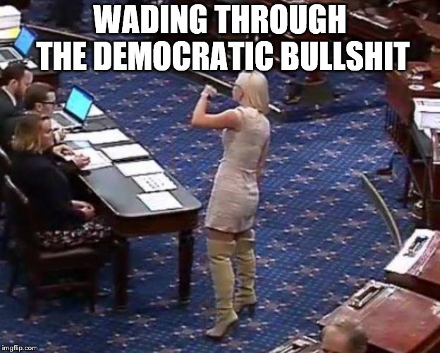 politics | WADING THROUGH THE DEMOCRATIC BULLSHIT | image tagged in political meme | made w/ Imgflip meme maker