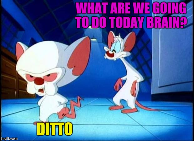 pinky and the brain monday | WHAT ARE WE GOING TO DO TODAY BRAIN? DITTO | image tagged in pinky and the brain monday | made w/ Imgflip meme maker