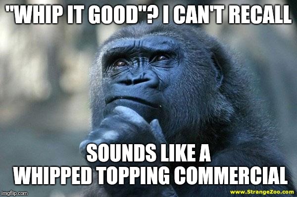 Deep Thoughts | "WHIP IT GOOD"? I CAN'T RECALL SOUNDS LIKE A WHIPPED TOPPING COMMERCIAL | image tagged in deep thoughts | made w/ Imgflip meme maker