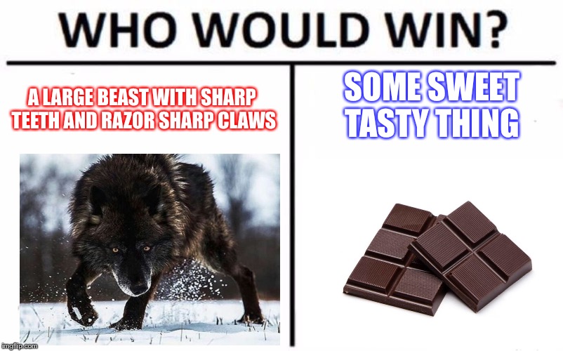 Who Would Win? Meme | SOME SWEET TASTY THING; A LARGE BEAST WITH SHARP TEETH AND RAZOR SHARP CLAWS | image tagged in memes,who would win | made w/ Imgflip meme maker