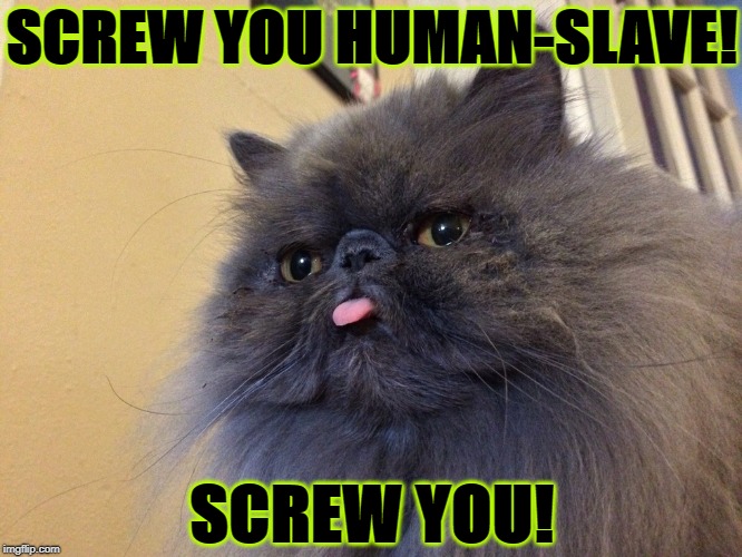 SCREW YOU | SCREW YOU HUMAN-SLAVE! SCREW YOU! | image tagged in screw you | made w/ Imgflip meme maker