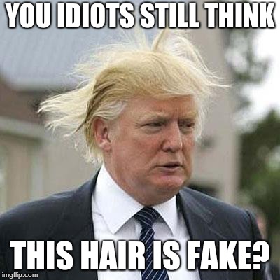 Donald Trump | YOU IDIOTS STILL THINK; THIS HAIR IS FAKE? | image tagged in donald trump | made w/ Imgflip meme maker