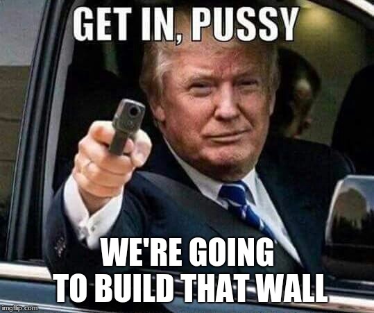 Donald Trump Get in pussy | WE'RE GOING TO BUILD THAT WALL | image tagged in donald trump get in pussy | made w/ Imgflip meme maker