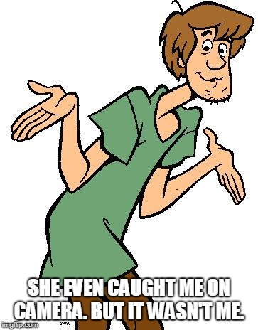Shaggy from Scooby Doo |  SHE EVEN CAUGHT ME ON CAMERA. BUT
IT WASN'T ME. | image tagged in shaggy from scooby doo,memes | made w/ Imgflip meme maker