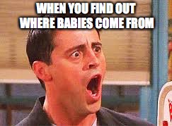 Shocked Face | WHEN YOU FIND OUT WHERE BABIES COME FROM | image tagged in shocked face | made w/ Imgflip meme maker