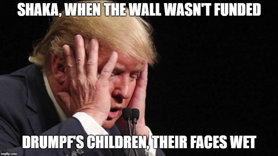 SHAKA, WHEN THE WALL WASN'T FUNDED; DRUMPF'S CHILDREN, THEIR FACES WET | image tagged in donald trump,trump,trump wall,wall | made w/ Imgflip meme maker