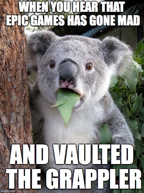 Surprised Koala | WHEN YOU HEAR THAT EPIC GAMES HAS GONE MAD; AND VAULTED THE GRAPPLER | image tagged in memes,surprised koala | made w/ Imgflip meme maker