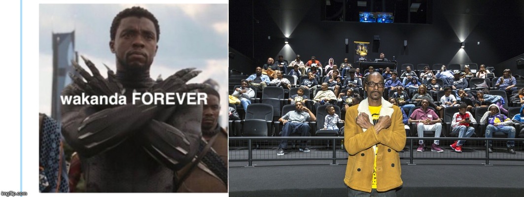 When a fictional African nation is more beloved than most real African nations . . . .  | image tagged in africa,snoop dogg,black panther,wakanda,marvel,memes | made w/ Imgflip meme maker