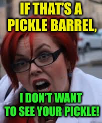 SJW Triggered | IF THAT’S A PICKLE BARREL, I DON’T WANT TO SEE YOUR PICKLE! | image tagged in sjw triggered | made w/ Imgflip meme maker