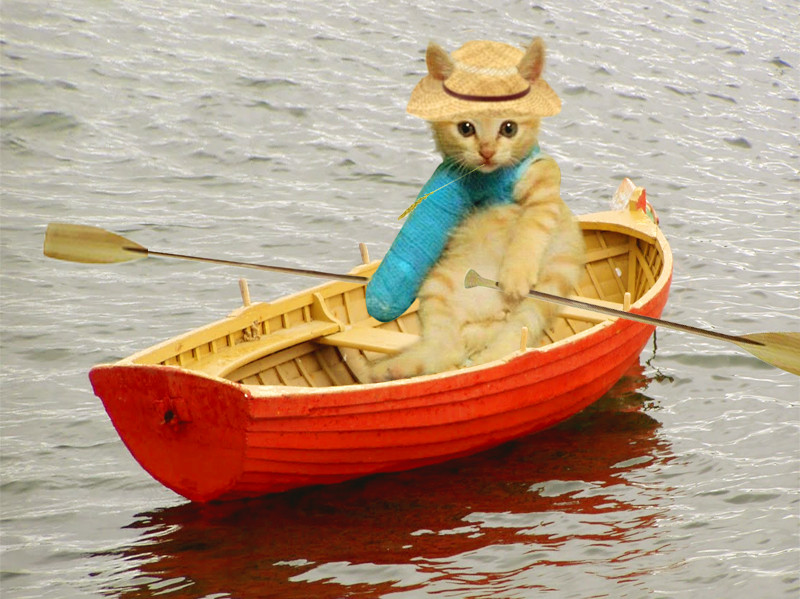 Kitty row boat. 