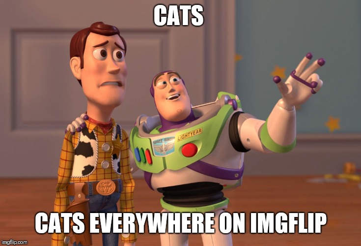 CATS CATS EVERYWHERE ON IMGFLIP | image tagged in memes,x x everywhere | made w/ Imgflip meme maker