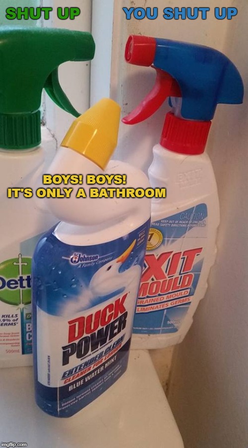YOU SHUT UP; SHUT UP; BOYS! BOYS! IT'S ONLY A BATHROOM | image tagged in bathroom fight | made w/ Imgflip meme maker