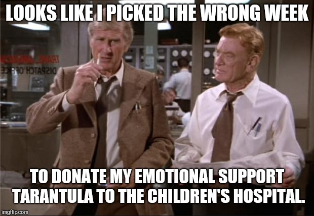 When things get edgy at work you need something warm and cuddly | LOOKS LIKE I PICKED THE WRONG WEEK; TO DONATE MY EMOTIONAL SUPPORT TARANTULA TO THE CHILDREN'S HOSPITAL. | image tagged in airplane wrong week,emotional support animals,humor | made w/ Imgflip meme maker