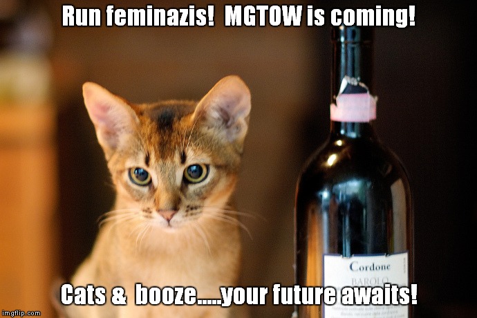 Run feminazis!  MGTOW is coming! Cats &  booze.....your future awaits! | image tagged in catbooze | made w/ Imgflip meme maker