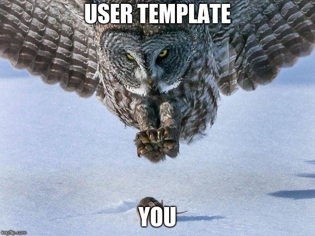 Owl Hunts Mouse | USER TEMPLATE; YOU | image tagged in owl hunts mouse | made w/ Imgflip meme maker