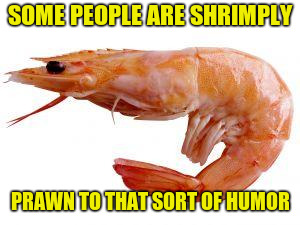 Shrimply | SOME PEOPLE ARE SHRIMPLY PRAWN TO THAT SORT OF HUMOR | image tagged in shrimply | made w/ Imgflip meme maker