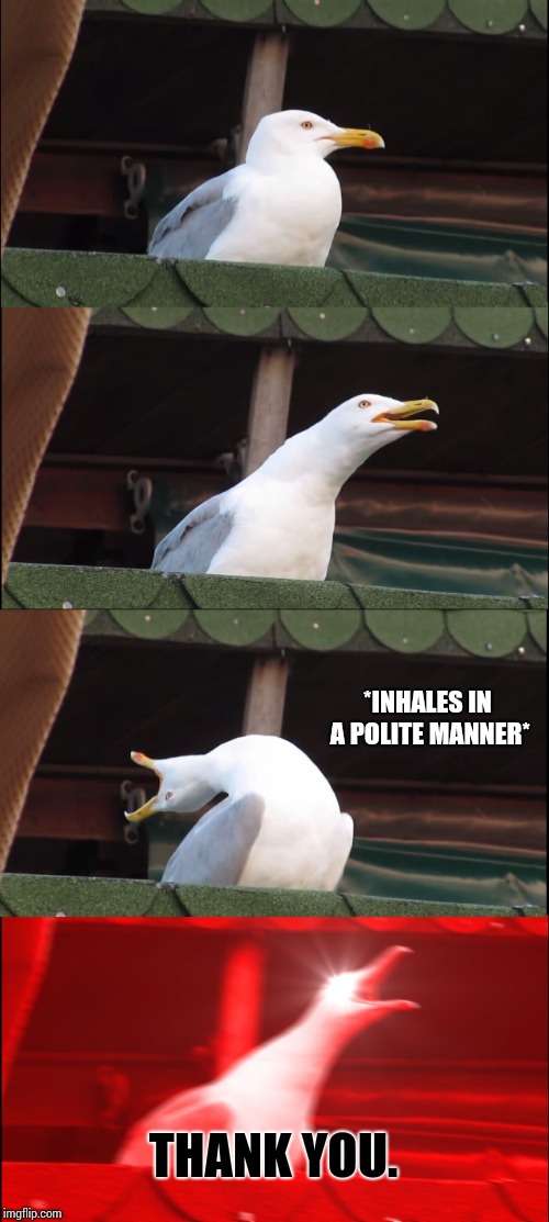 Inhaling Seagull Meme | *INHALES IN A POLITE MANNER* THANK YOU. | image tagged in memes,inhaling seagull | made w/ Imgflip meme maker