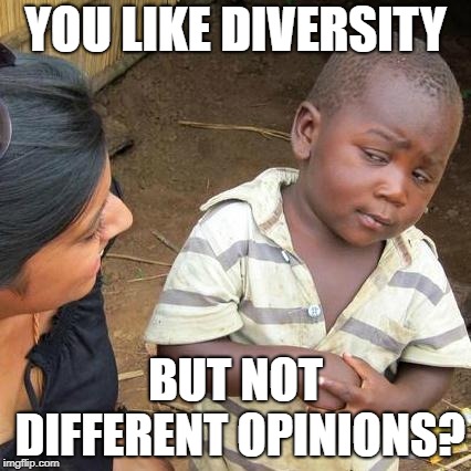 Third World Skeptical Kid Meme | YOU LIKE DIVERSITY; BUT NOT DIFFERENT OPINIONS? | image tagged in memes,third world skeptical kid | made w/ Imgflip meme maker