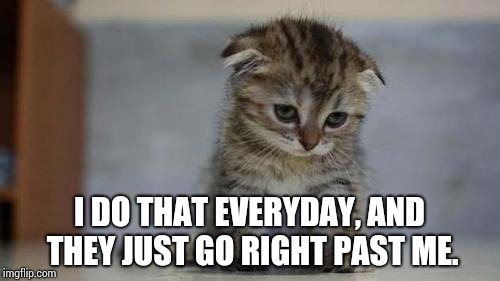 Sad kitten | I DO THAT EVERYDAY, AND THEY JUST GO RIGHT PAST ME. | image tagged in sad kitten | made w/ Imgflip meme maker