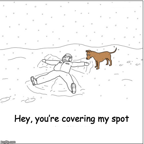 Spreader | Hey, you’re covering my spot | image tagged in snow joke,angel,poop,dog poop,winter | made w/ Imgflip meme maker